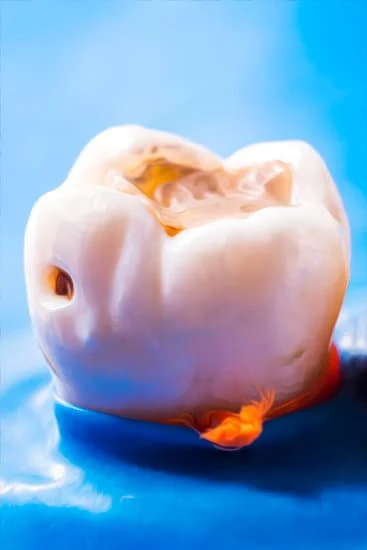 Front Tooth
